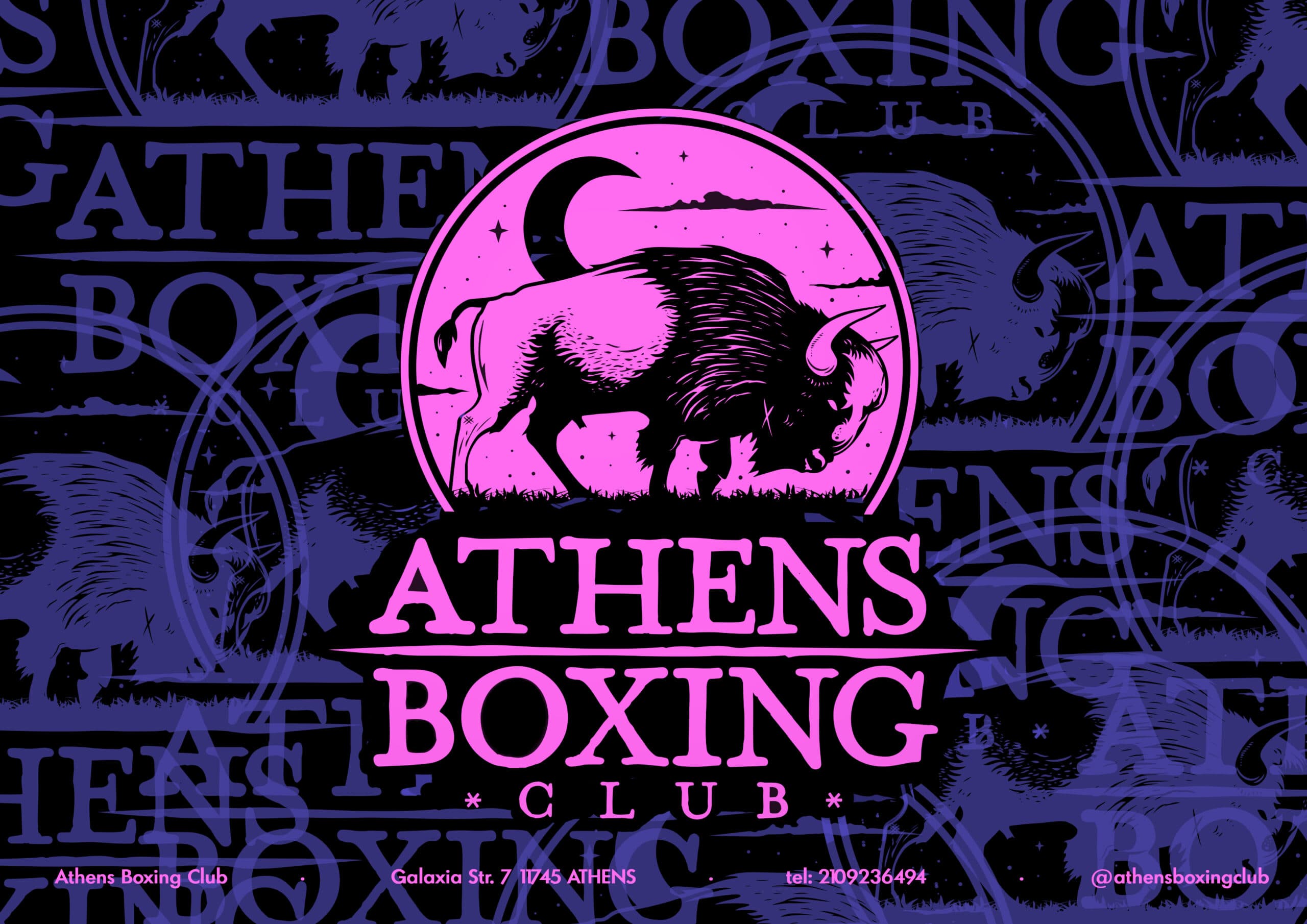 Boxing Combinations for Beginners